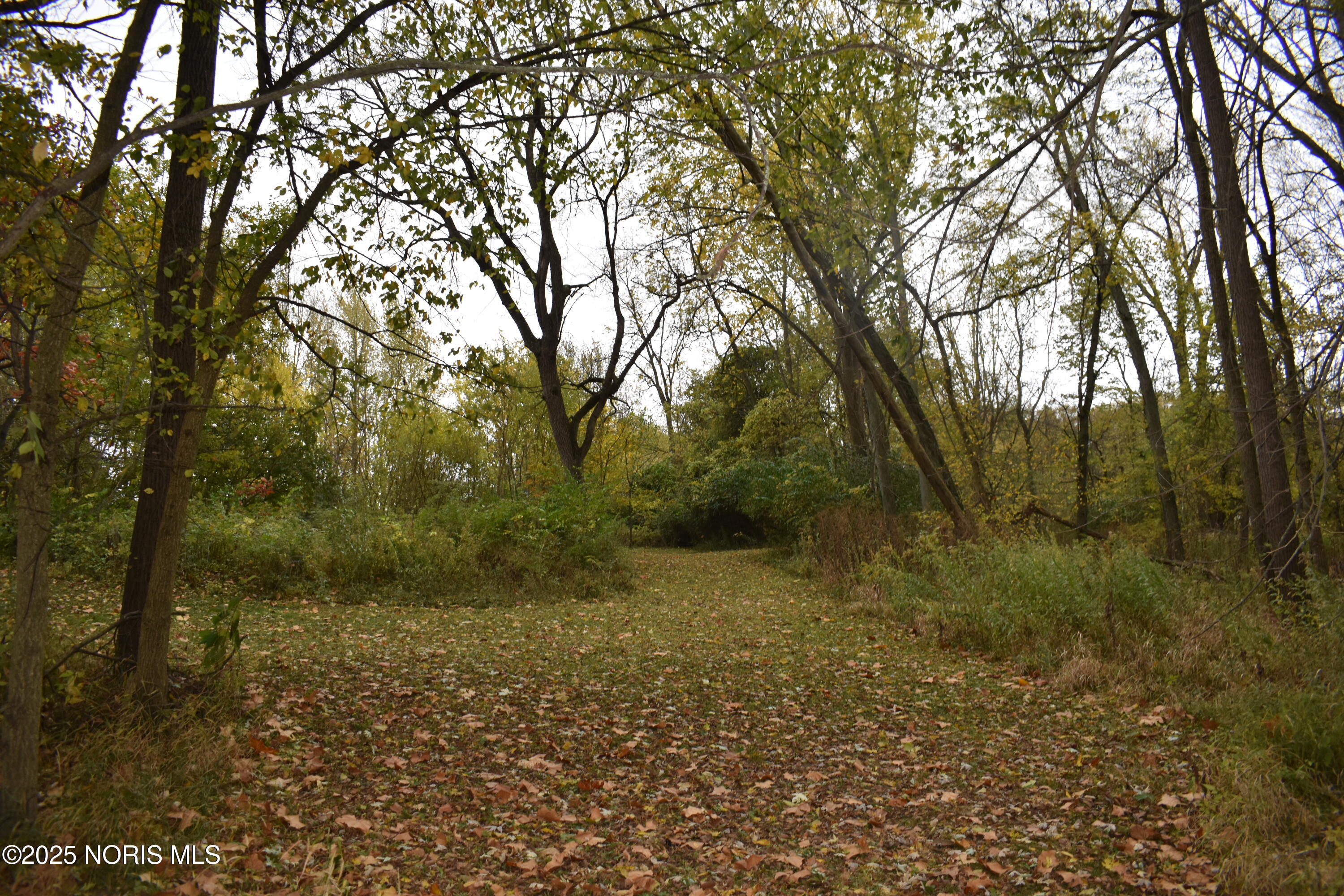 9340 Stitt Road Whitehouse, OH 43571 - Photo 32 of 50 November 20 RE (31)