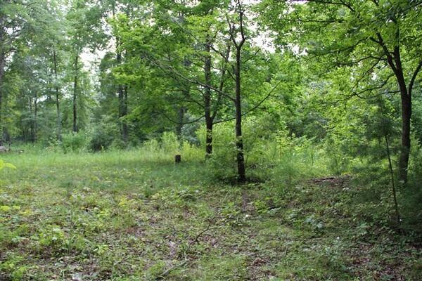 3149 Kidd Road Williamsburg, KY 40769 - Photo 7 of 16 IMG_9381