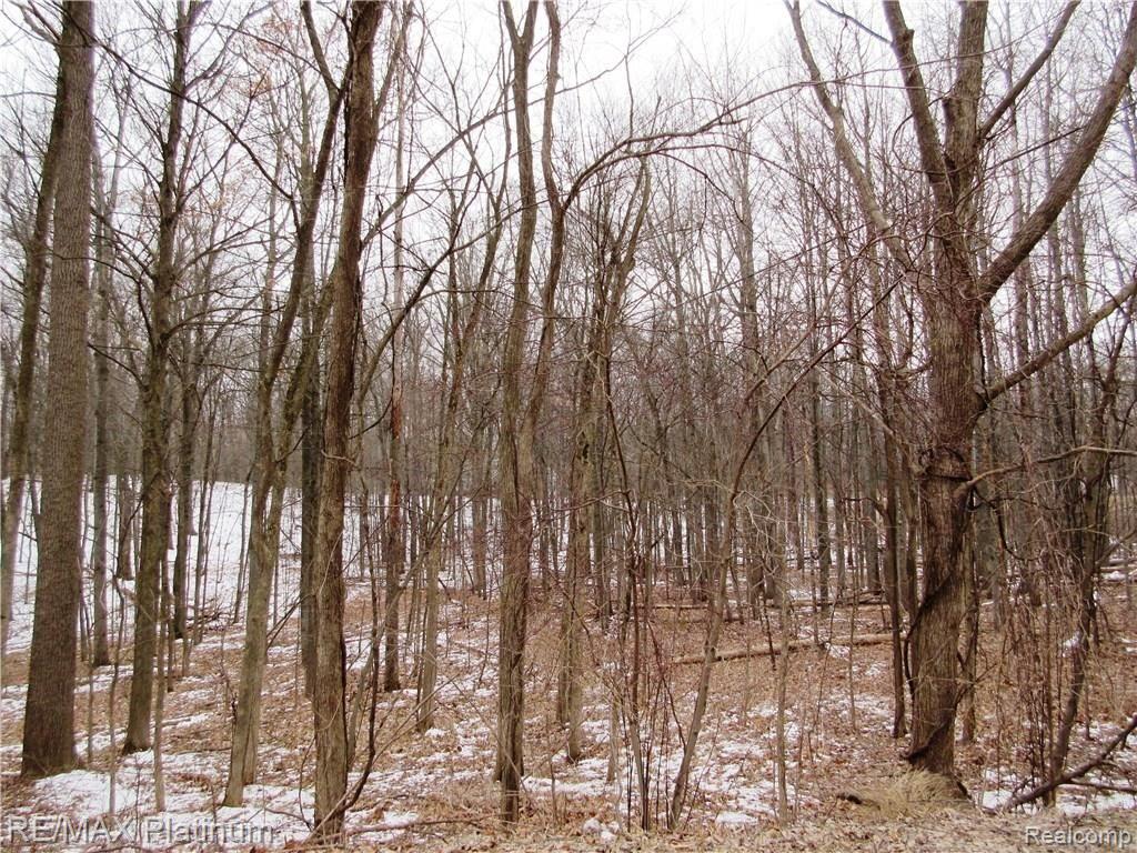 3 Welle Road Brighton, MI 48116 - Photo 4 of 8