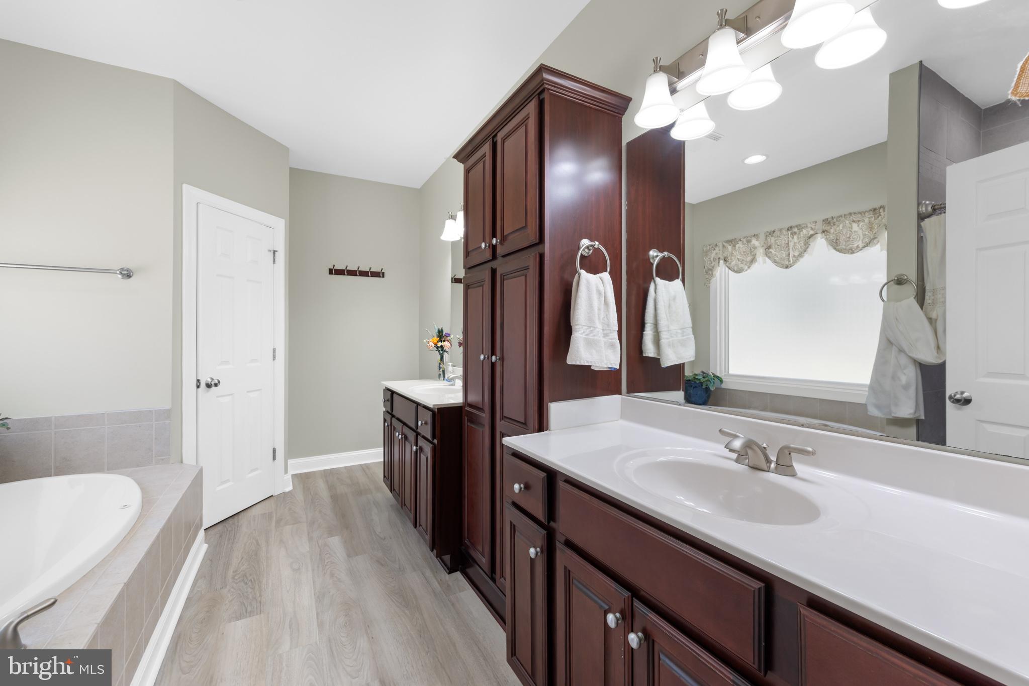 286 Lewis Drive Ruckersville, VA 22968 - Photo 23 of 77 Master Bath Split Vanity & Water Closet