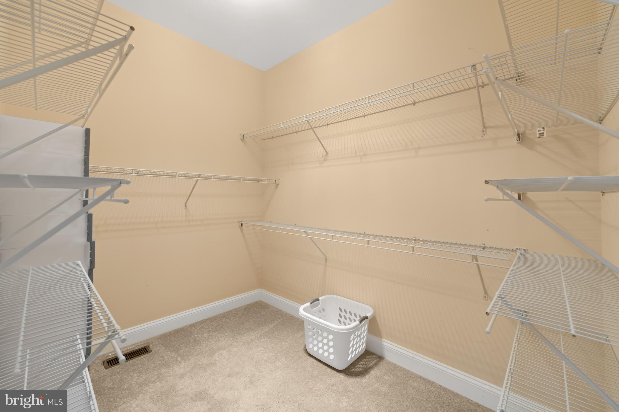286 Lewis Drive Ruckersville, VA 22968 - Photo 25 of 77 Master Closet