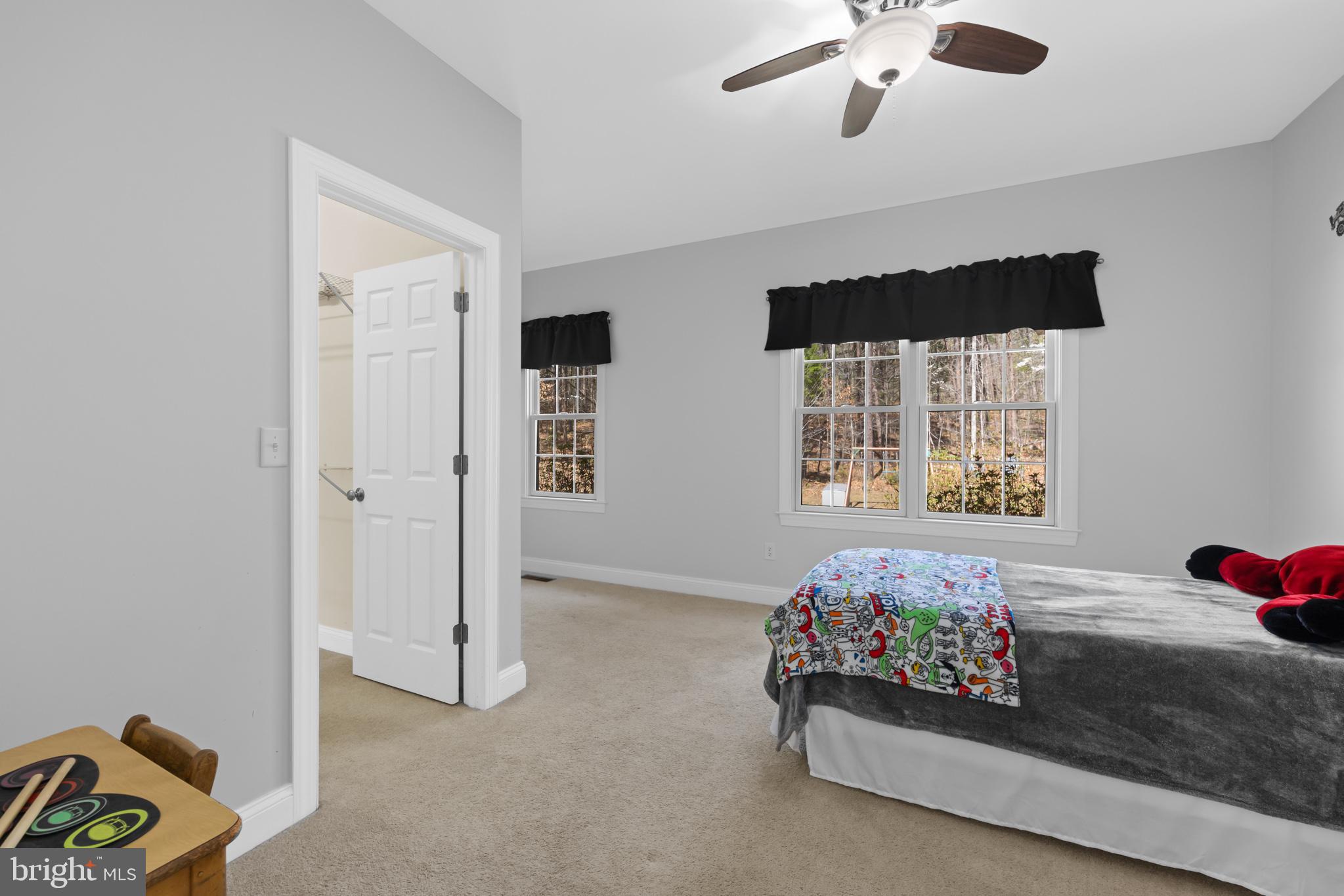 286 Lewis Drive Ruckersville, VA 22968 - Photo 26 of 77 Bedroom 2