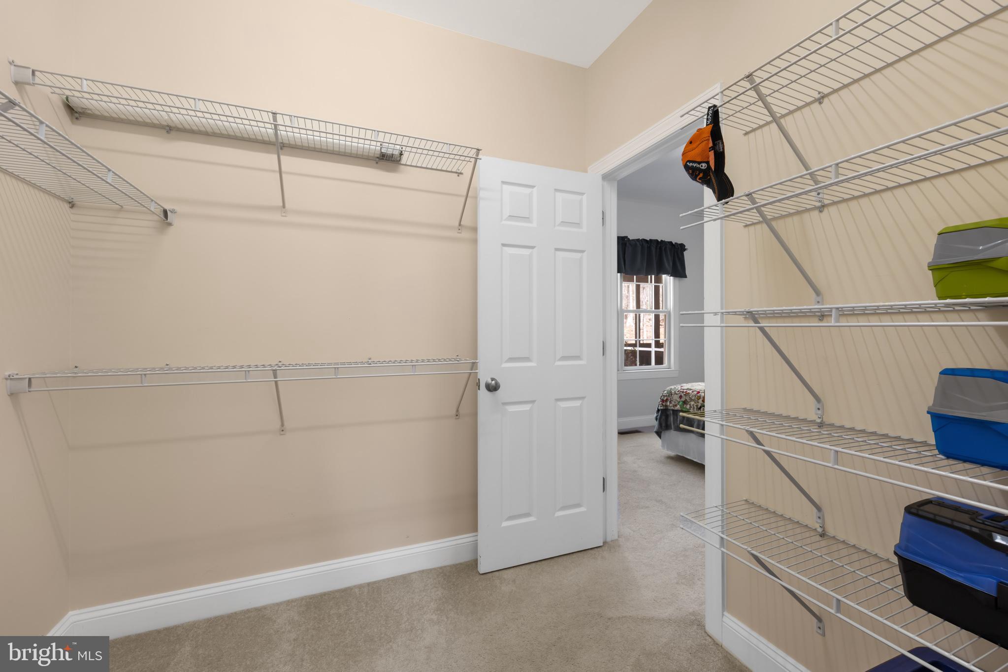 286 Lewis Drive Ruckersville, VA 22968 - Photo 29 of 76 Walk In Closet Shared
by BR 2 & BR 3