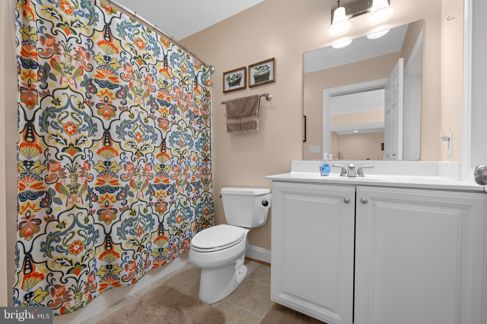 286 Lewis Drive Ruckersville, VA 22968 - Photo 42 of 77 Full Bath Basement