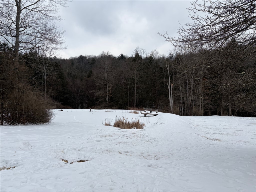 2213 Brown Hollow Road Corning, NY 14830 - Photo 29 of 49