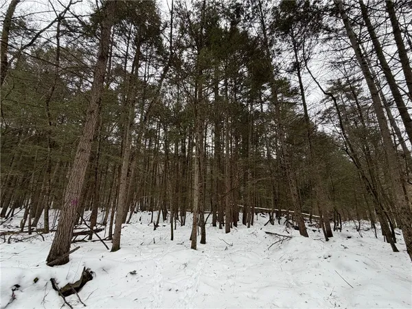 $399,900 | 2213 Brown Hollow Road, Corning, NY 14830
