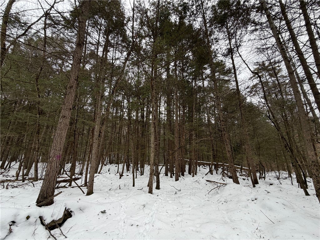 2213 Brown Hollow Road Corning, NY 14830 - Photo 30 of 49