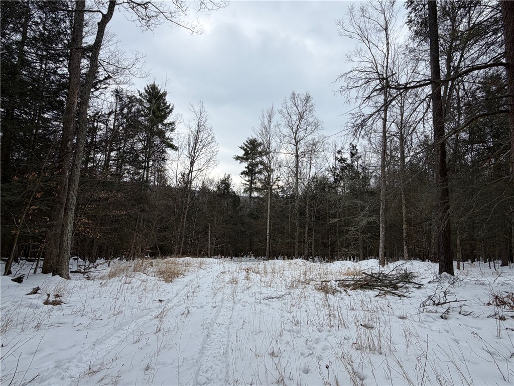 2213 Brown Hollow Road Corning, NY 14830 - Photo 31 of 49