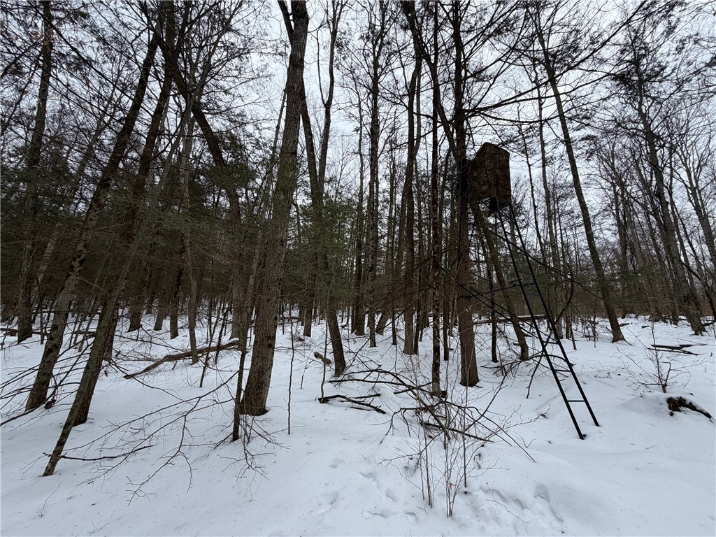 2213 Brown Hollow Road Corning, NY 14830 - Photo 32 of 49