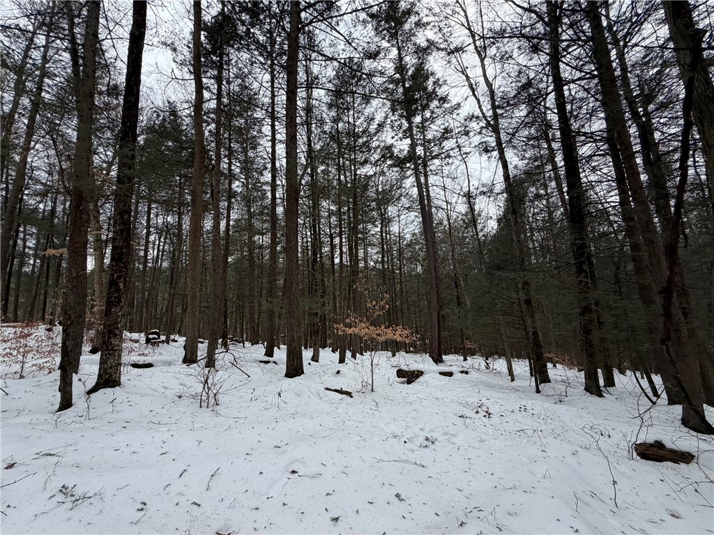 2213 Brown Hollow Road Corning, NY 14830 - Photo 33 of 49