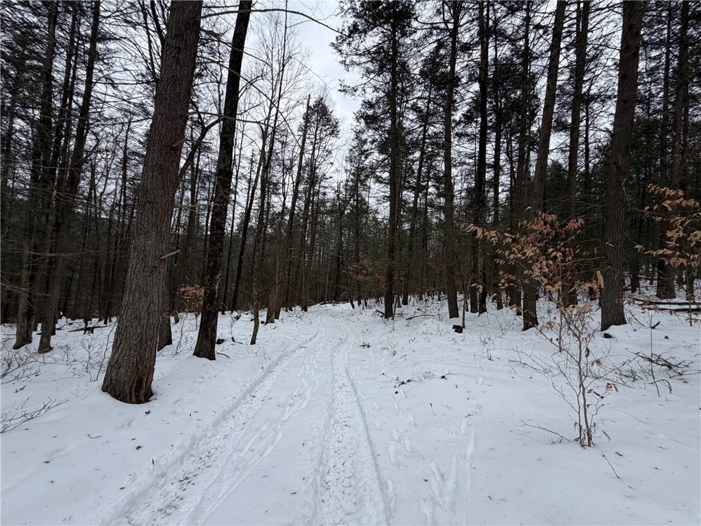 2213 Brown Hollow Road Corning, NY 14830 - Photo 34 of 49