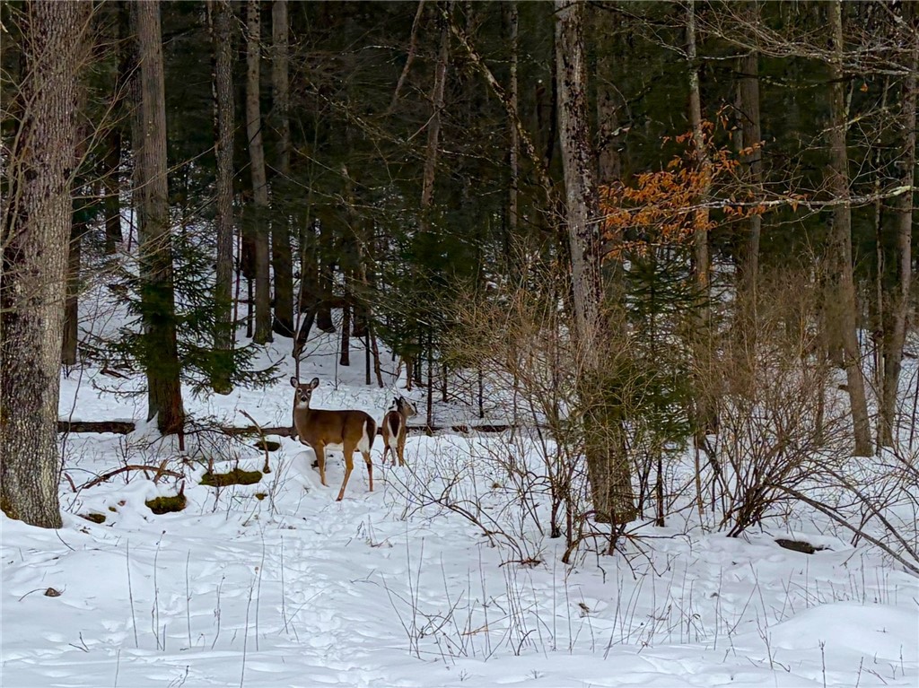 2213 Brown Hollow Road Corning, NY 14830 - Photo 35 of 49
