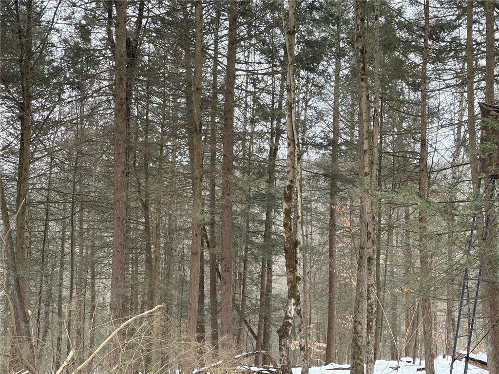 2213 Brown Hollow Road Corning, NY 14830 - Photo 37 of 49