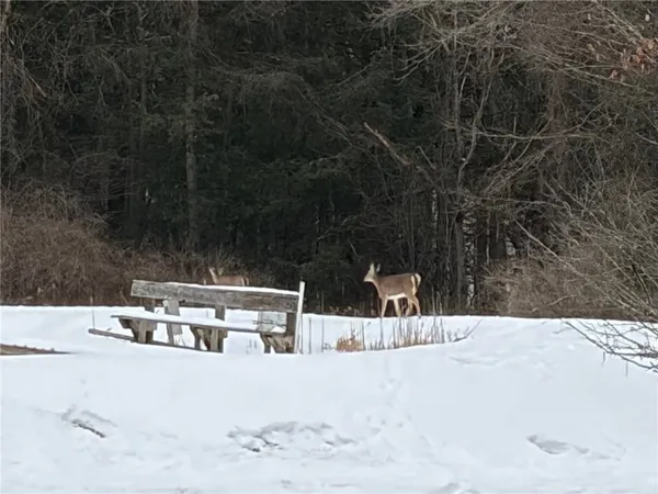 $399,900 | 2213 Brown Hollow Road, Corning, NY 14830