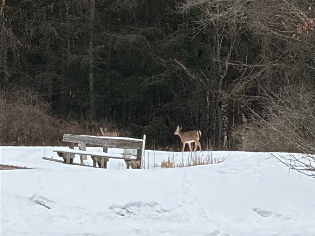 2213 Brown Hollow Road Corning, NY 14830 - Photo 38 of 49