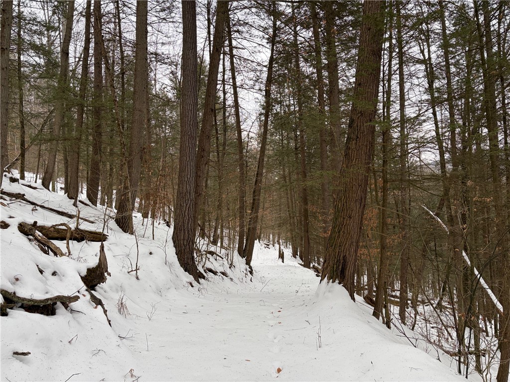 2213 Brown Hollow Road Corning, NY 14830 - Photo 39 of 49