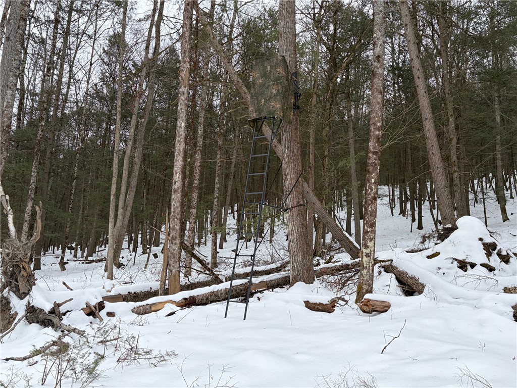 2213 Brown Hollow Road Corning, NY 14830 - Photo 40 of 49