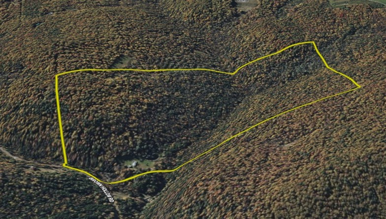 2213 Brown Hollow Road Corning, NY 14830 - Photo 46 of 49