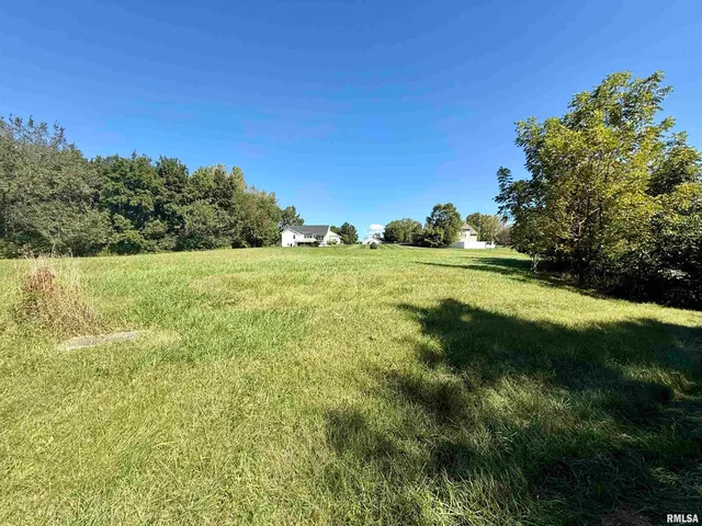 $39,000 | Lot 4 Lakeside Drive, Port Byron, IL 61275