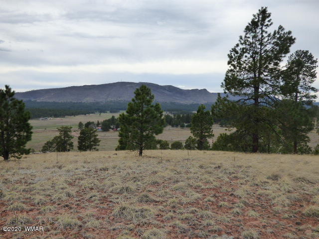 Lot 12 The Ranch Alpine, AZ 85920 - Photo 3 of 24