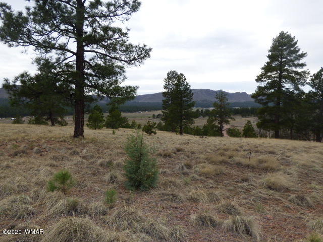 Lot 12 The Ranch Alpine, AZ 85920 - Photo 4 of 24