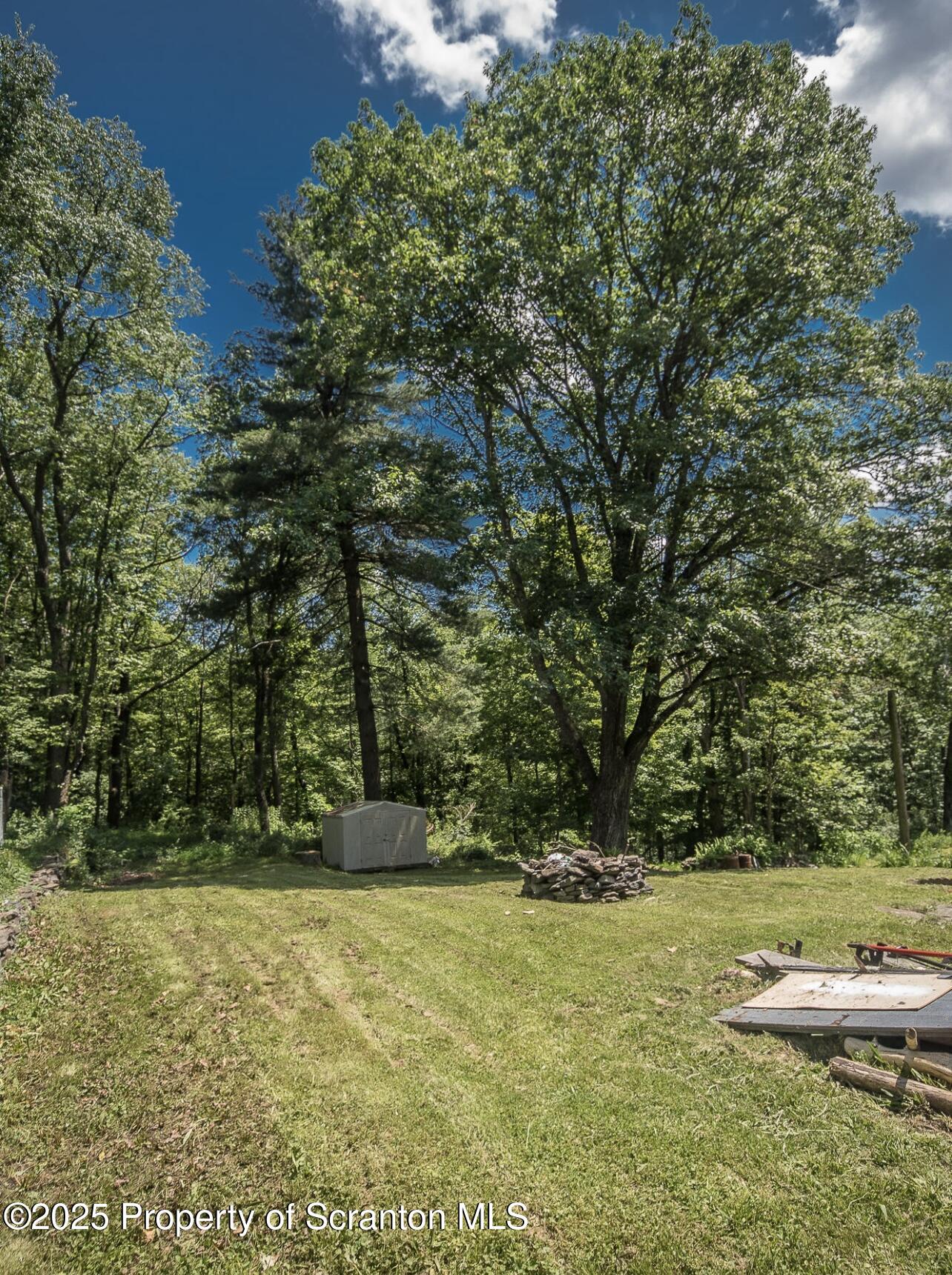 144 Jefferson Street Simpson, PA 18407 - Photo 3 of 14 a view of a yard
