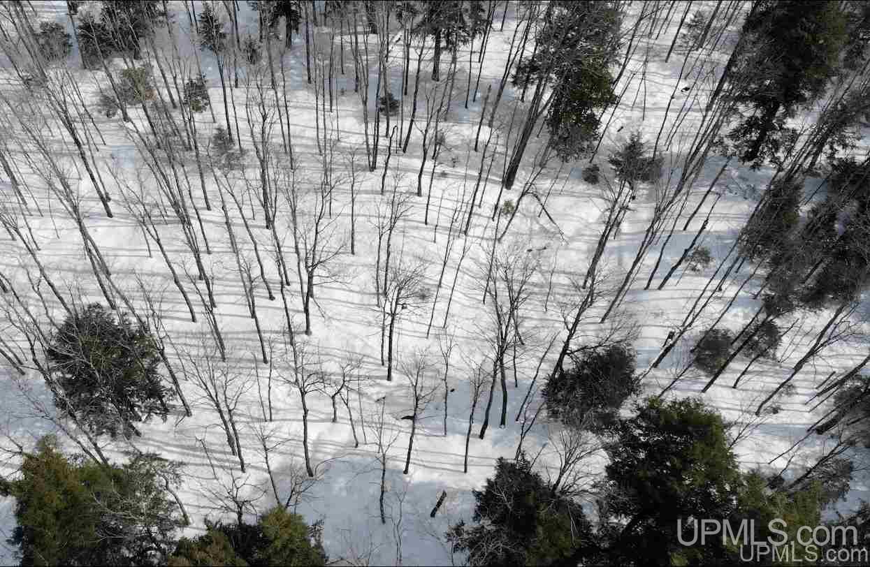 Tbd Dogpatch Road, Unit LOT J Lanse, MI 49946 - Photo 4 of 16