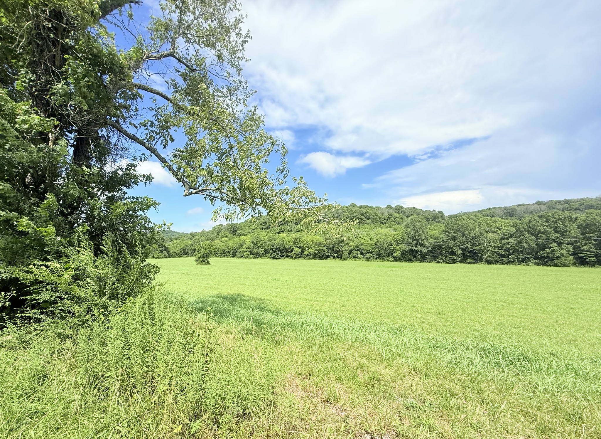 6866 Greenvale Road Watertown, TN 37184 - Photo 20 of 22 Gallery Image 20