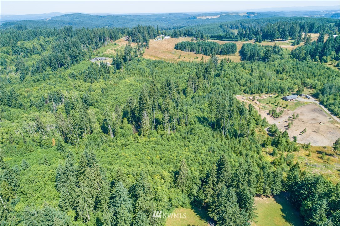 0 Hinch Road Castle Rock, WA 98611 - Photo 2 of 9 Gallery Image 2