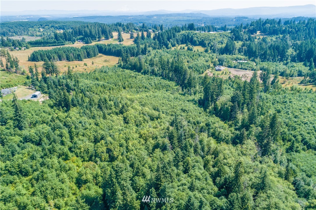 0 Hinch Road Castle Rock, WA 98611 - Photo 6 of 9 Gallery Image 6