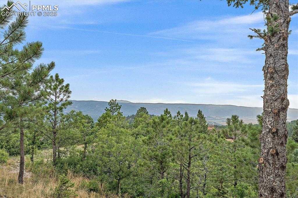 8045 Eagle Road Larkspur, CO 80118 - Photo 38 of 50