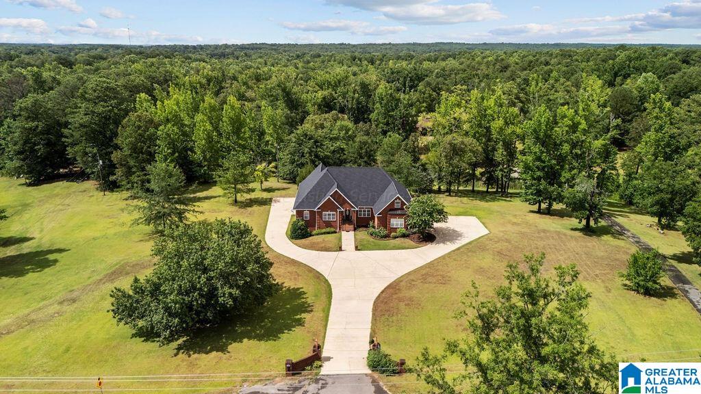 5355 Hollis Goodwin Road Dora, AL 35062 - Photo 32 of 35
