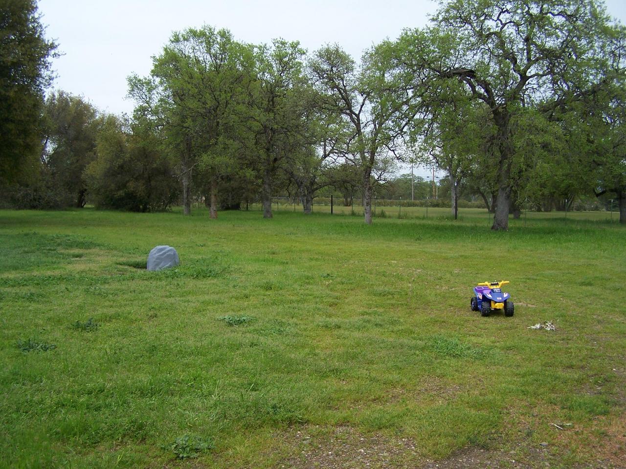 Open Space Backyard