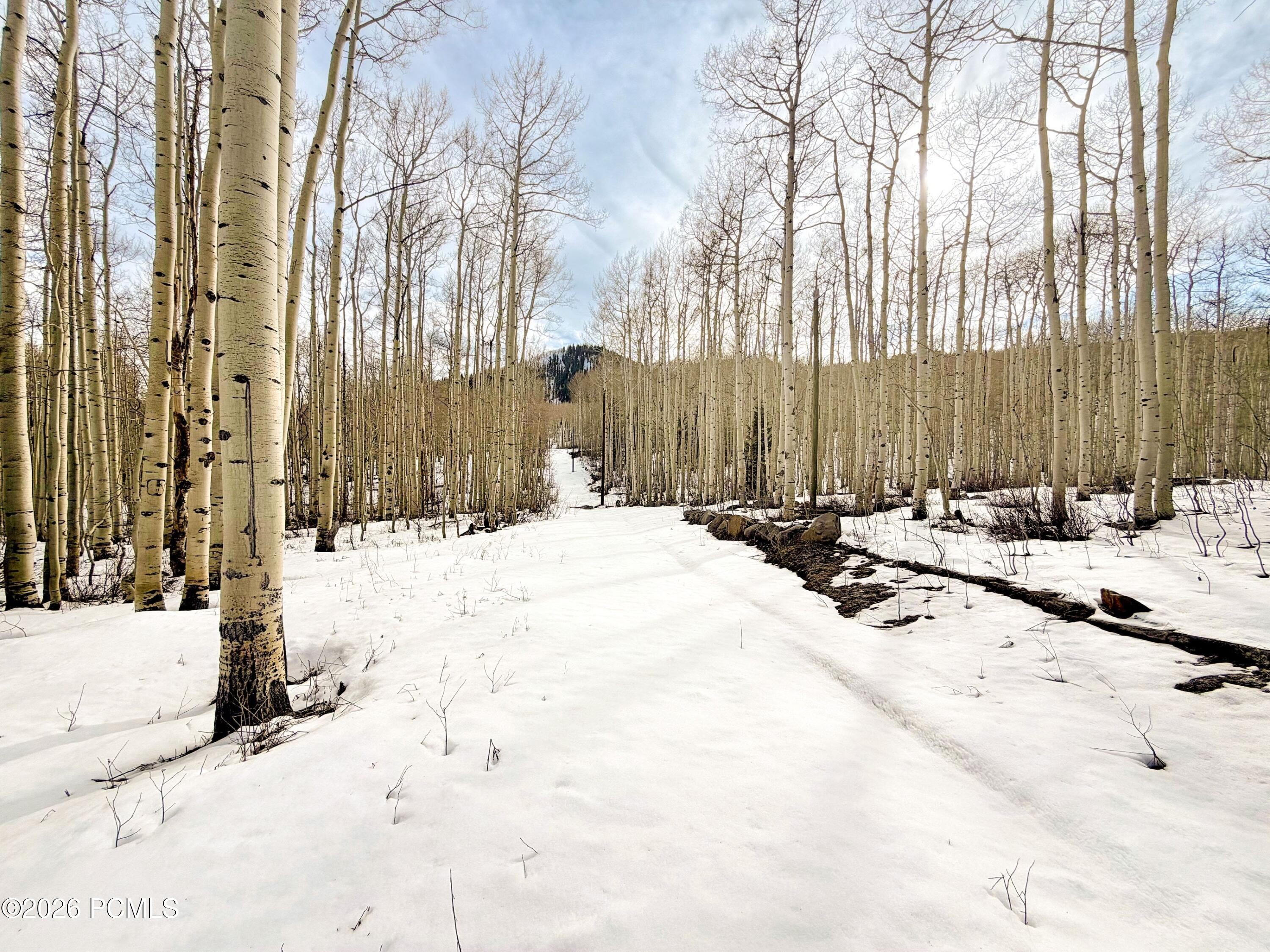 5384 North Rocky Road Park City, UT 84060 - Photo 6 of 13