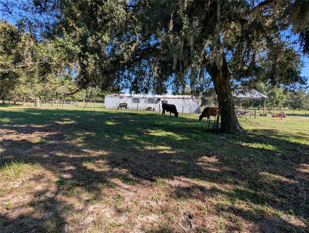 5950 Cow Pen Road Bartow, FL 33830 - Photo 15 of 25
