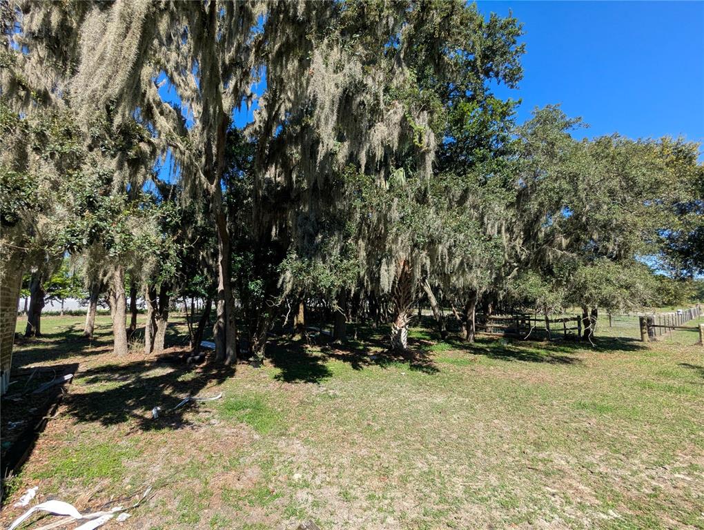 5950 Cow Pen Road Bartow, FL 33830 - Photo 16 of 25