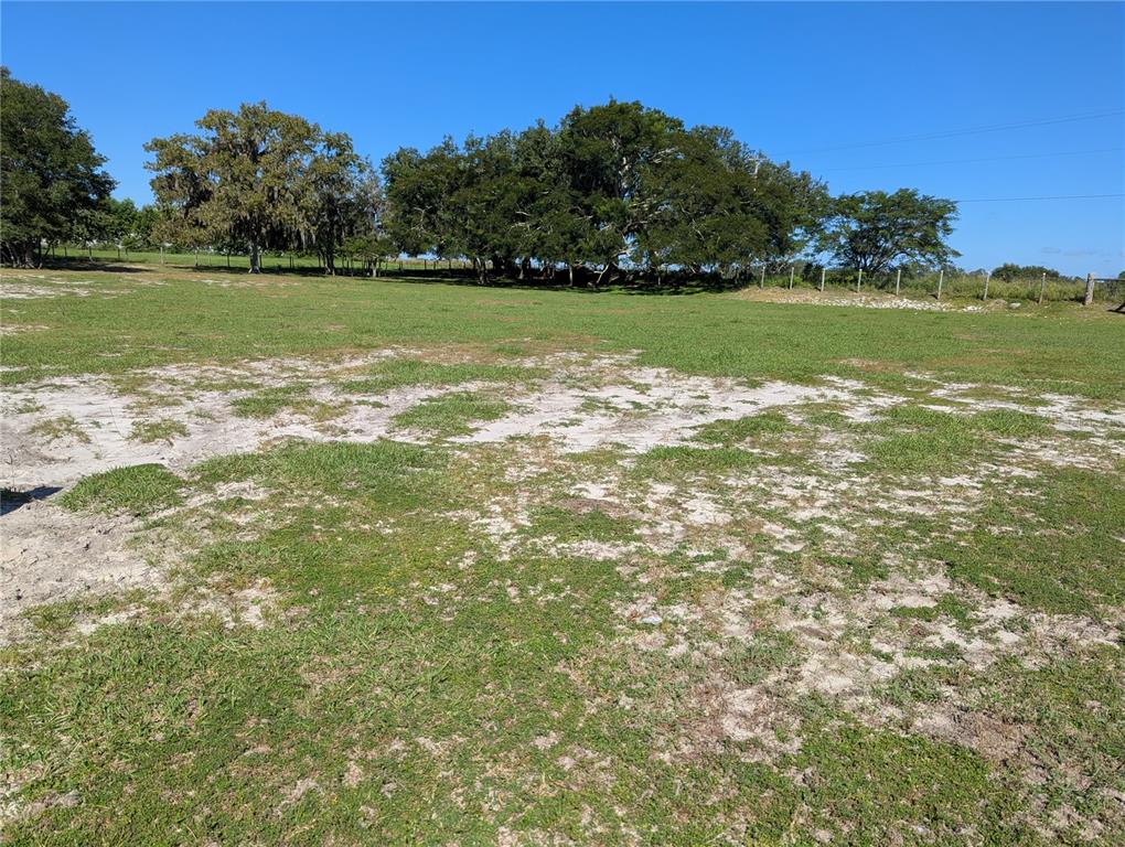 5950 Cow Pen Road Bartow, FL 33830 - Photo 5 of 25