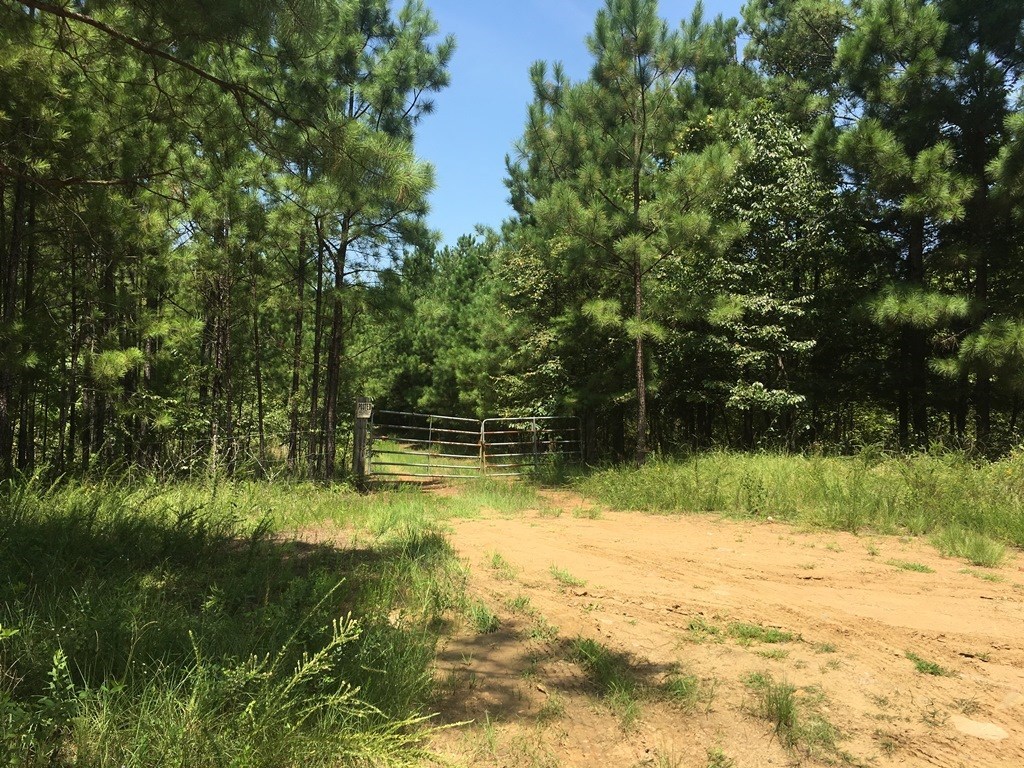 0 Mt Carmel Road Roberta, GA 31078 - Photo 11 of 20 Additional Photo