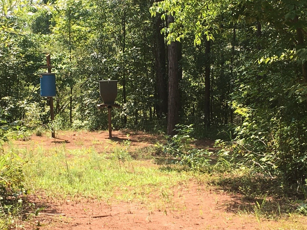 0 Mt Carmel Road Roberta, GA 31078 - Photo 14 of 20 Additional Photo