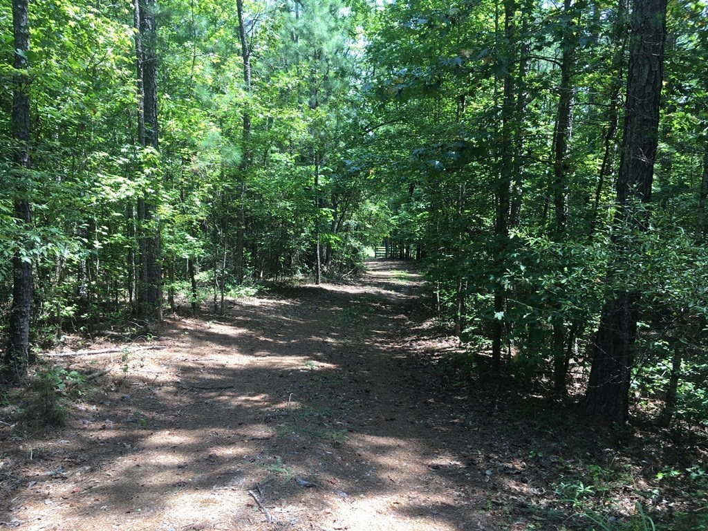 0 Mt Carmel Road Roberta, GA 31078 - Photo 17 of 20 Additional Photo