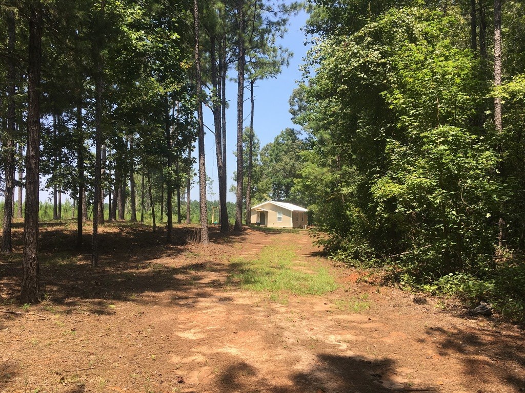 0 Mt Carmel Road Roberta, GA 31078 - Photo 19 of 20 Additional Photo