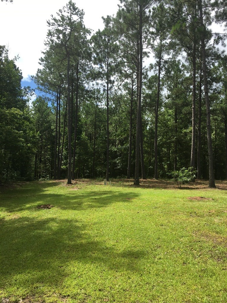 0 Mt Carmel Road Roberta, GA 31078 - Photo 9 of 20 Additional Photo