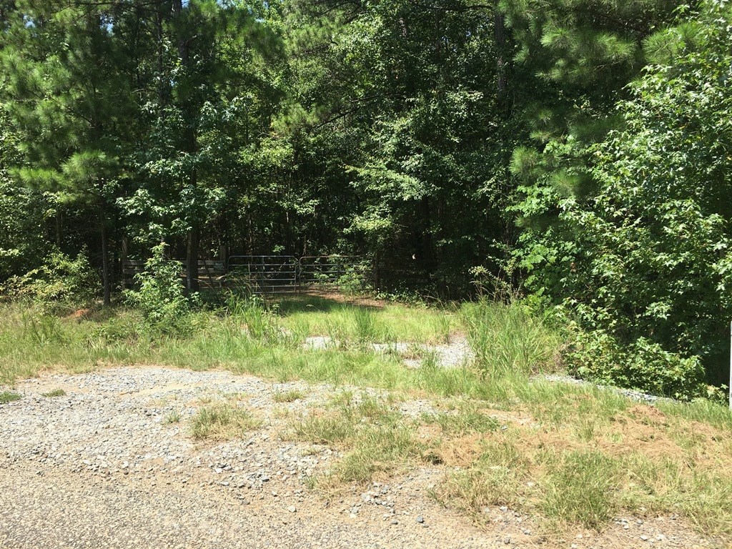 0 Mt Carmel Road Roberta, GA 31078 - Photo 10 of 20 Additional Photo