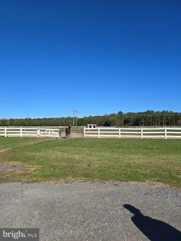 a view of a field with an ocean