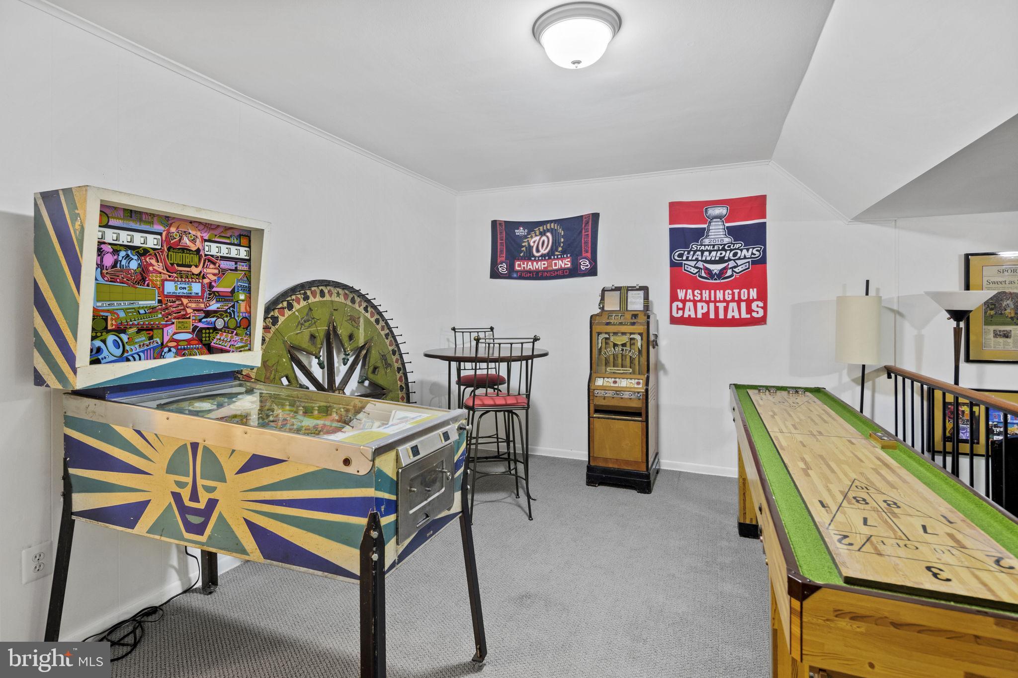 11740 Decade Court Reston, VA 20191 - Photo 33 of 44 Rec room w/ overhead light fixture