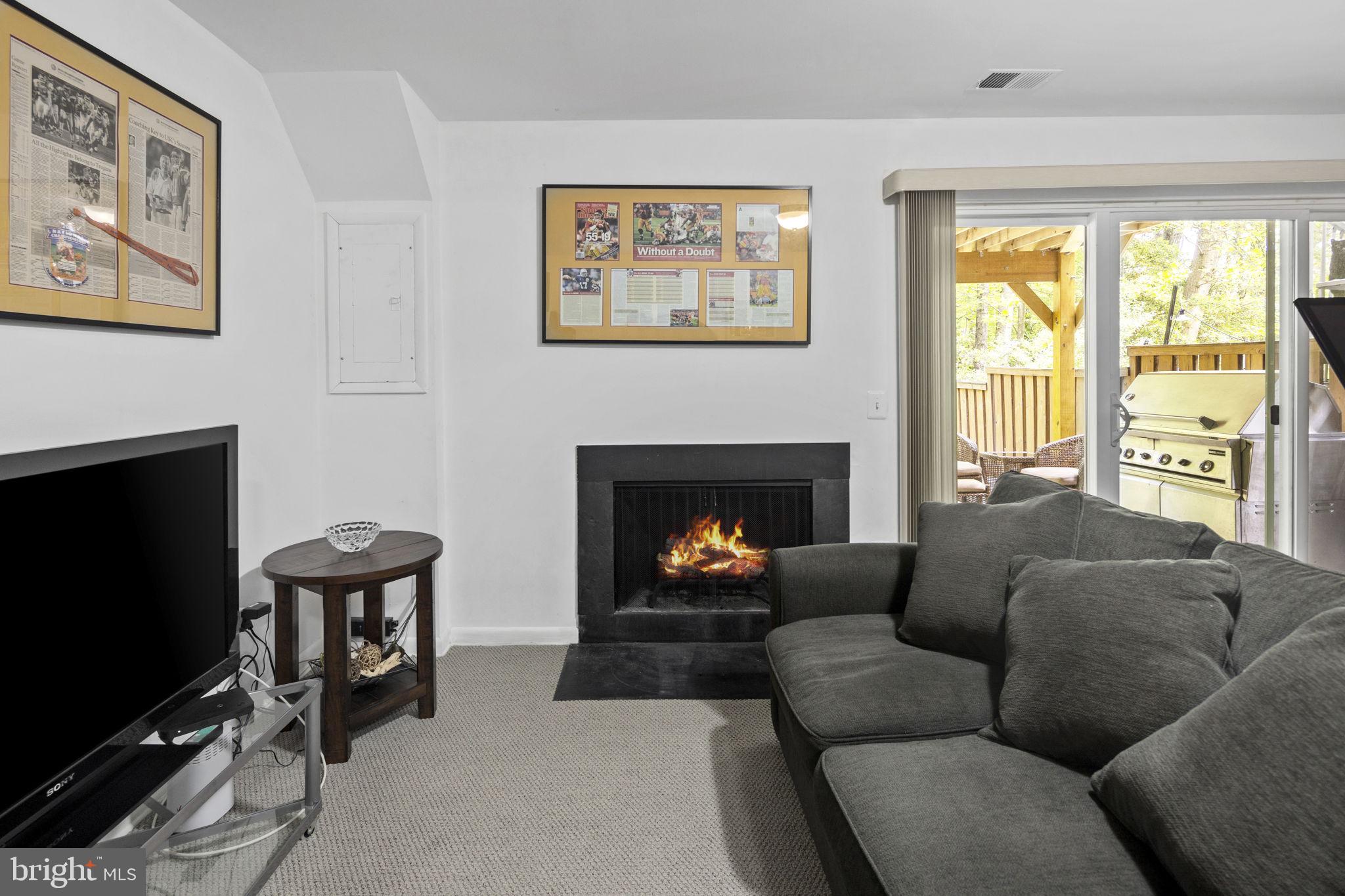 11740 Decade Court Reston, VA 20191 - Photo 37 of 44 Wood-burning fireplace w/ screen