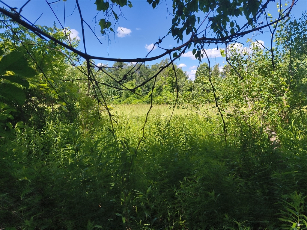 Lot 3 Holcomb Road Chester, MA 01011 - Photo 3 of 5