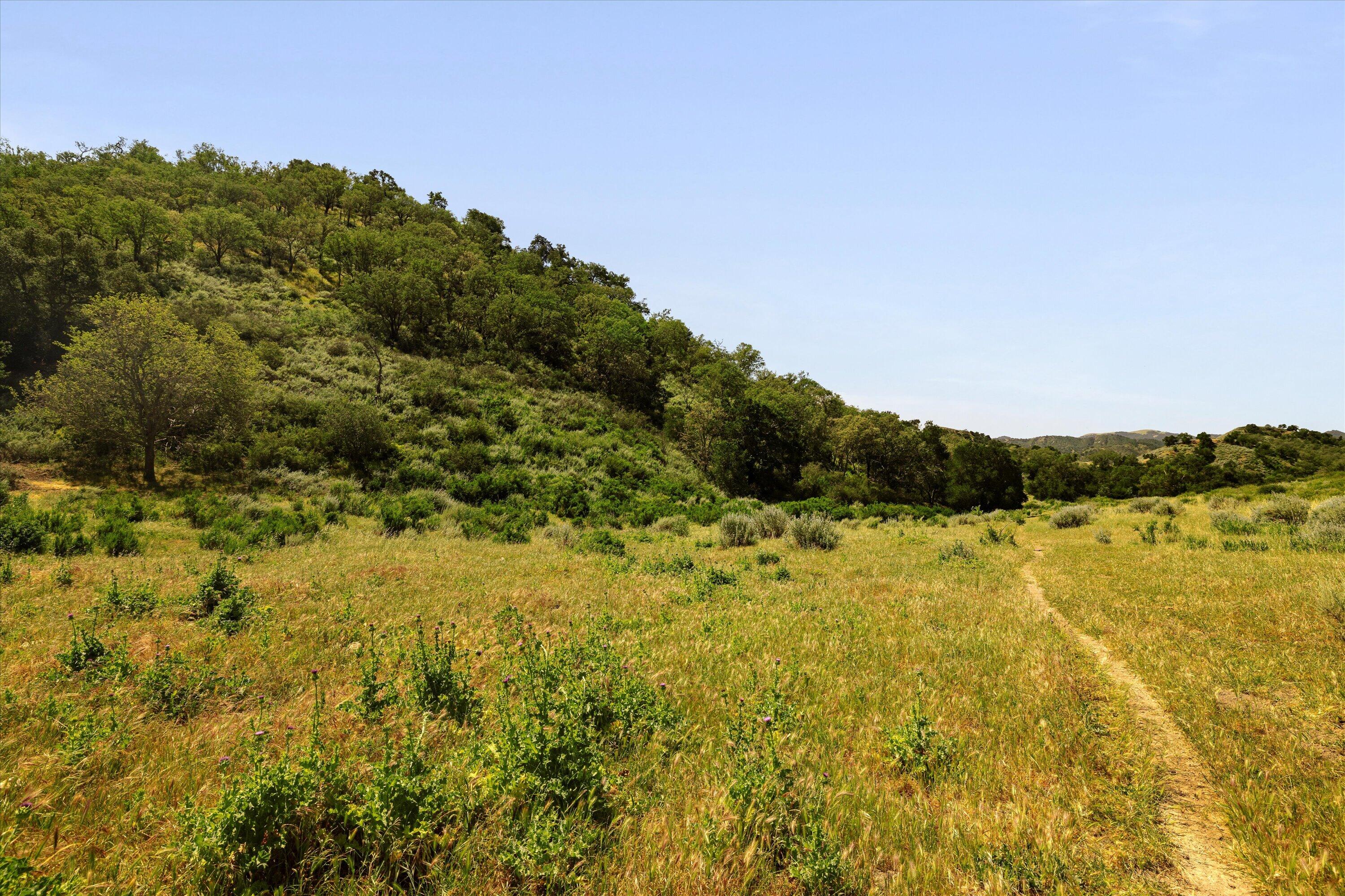 12707 Huasna Road Arroyo Grande, CA 93420 - Photo 29 of 77 29MLS in Order - Huasna