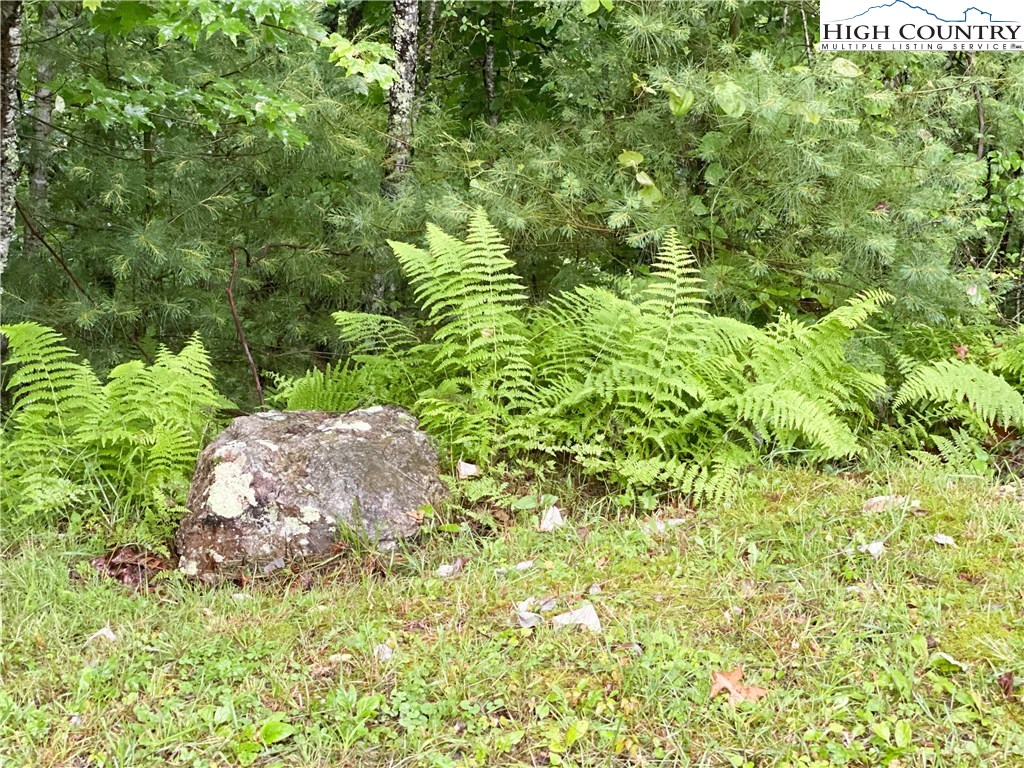4360 Stones Chapel Road Elk Creek, VA 24326 - Photo 20 of 21 a backyard of a house with lots of green space