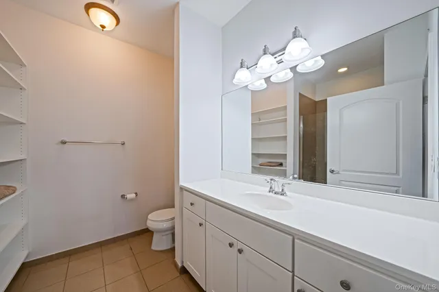 a bathroom with a double vanity sink mirror and toilet